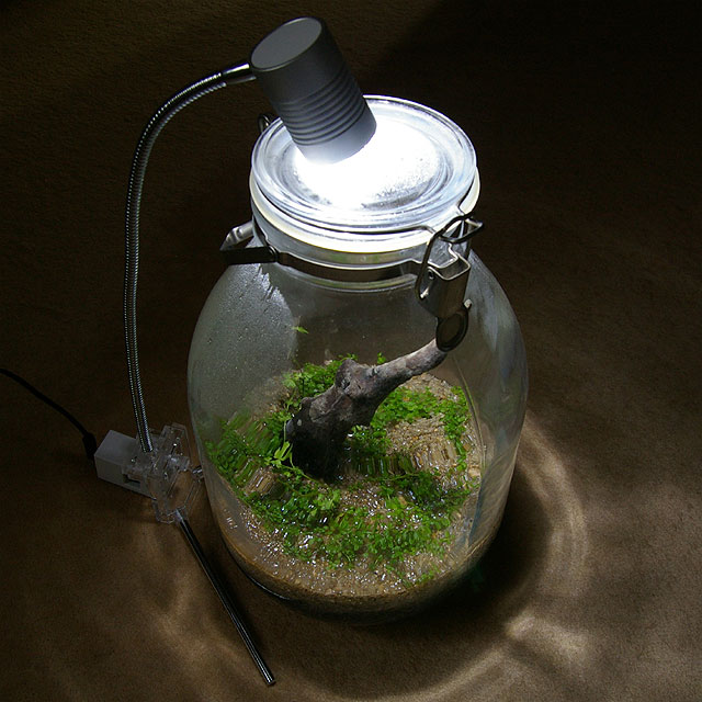 GEX クリアLED リーフグロー ボトルアクアリウムに最適な植物・水草育成LEDライト | shave off mind