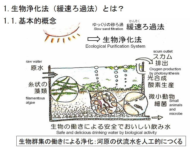 緩速ろ過 生物浄化法 清潔な水は水道局から買わなくても自作システムで手に入れる方法もある Shave Off Mind