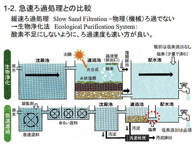 緩速ろ過 生物浄化法 清潔な水は水道局から買わなくても自作システムで手に入れる方法もある Shave Off Mind