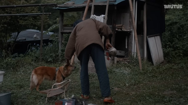 服部文祥と愛犬ナツ