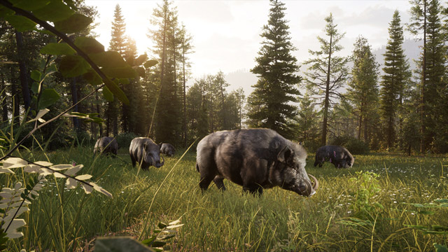 Way of the Hunter 2のイノシシ