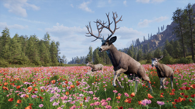 Way of the Hunter 2の鹿