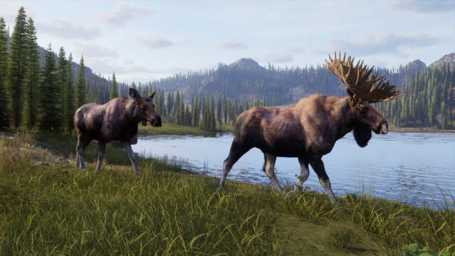 Way of the Hunter 2のヘラジカ